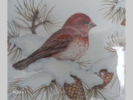 Christine Marshall - Winter Collection