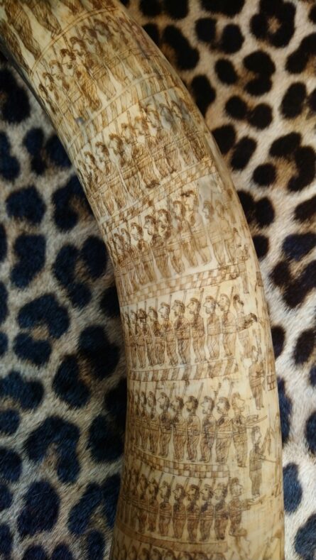 Zulu Engraved Cow Horn