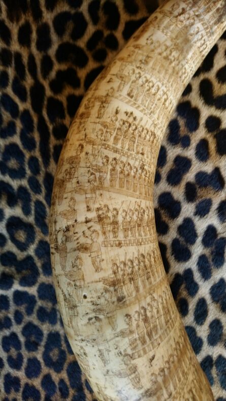 Zulu Engraved Cow Horn