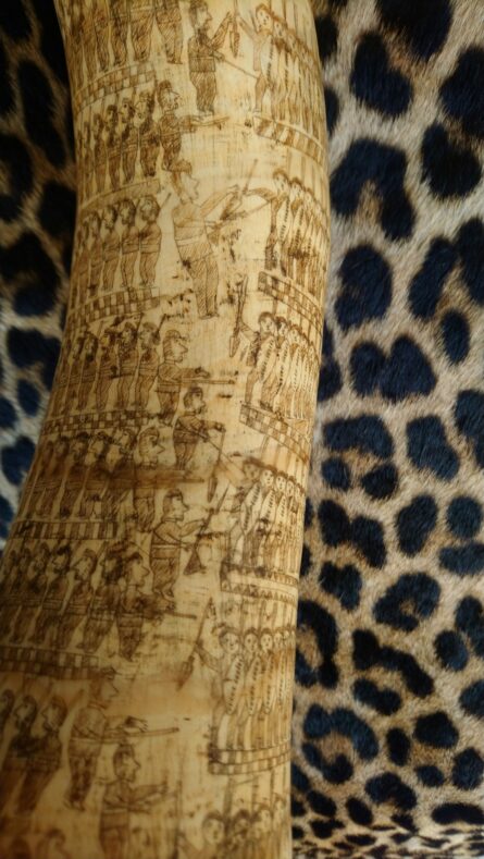 Zulu Engraved Cow Horn