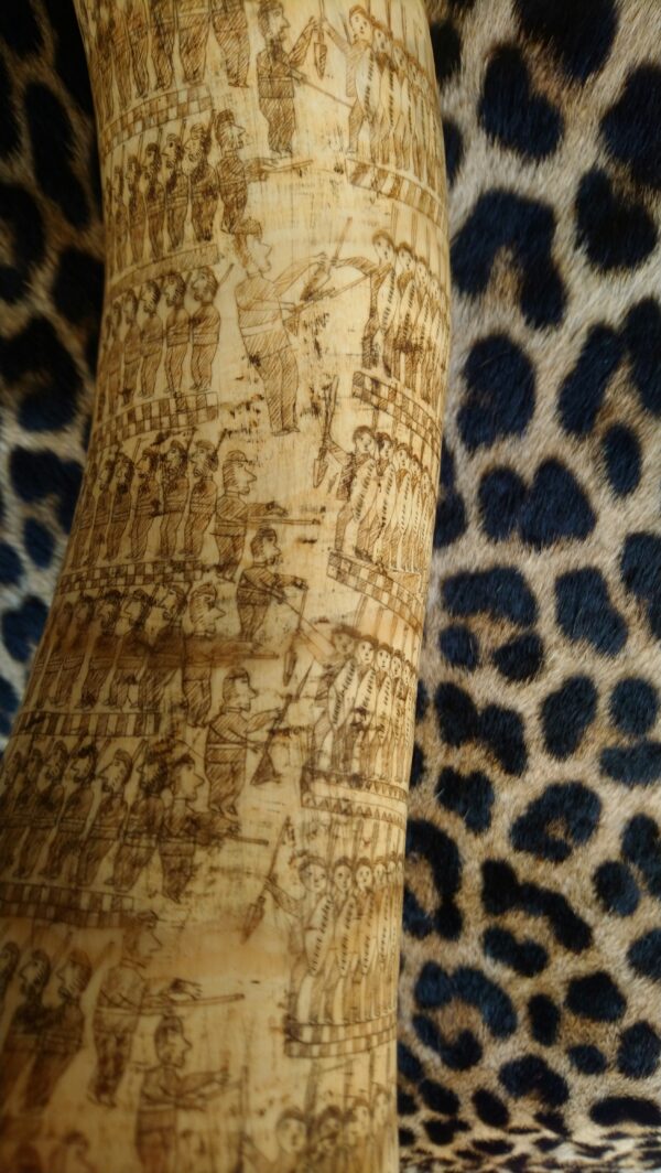 Zulu Engraved Cow Horn