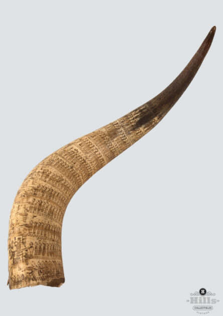 Zulu Engraved Cattle Horn