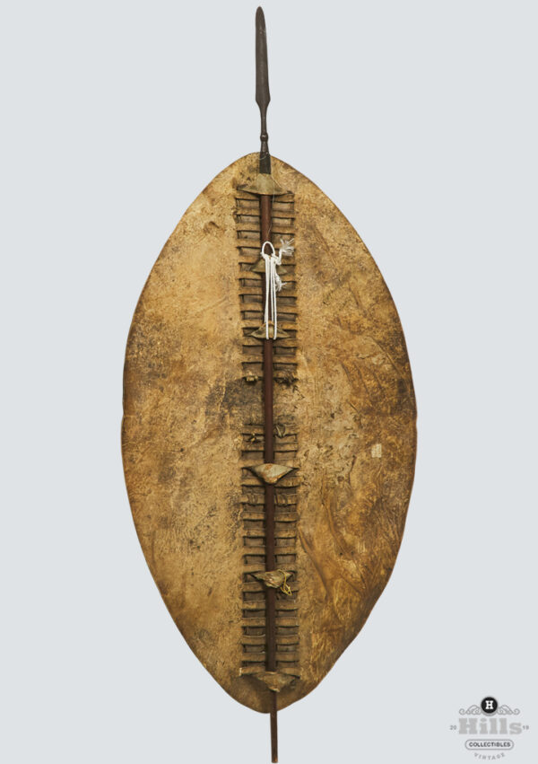 Zulu Shield back