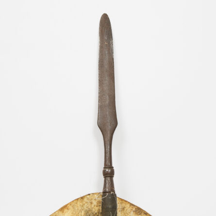 Zulu Shield