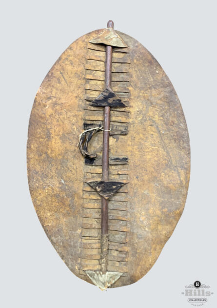 Zulu Umbumbuluzo War Shield