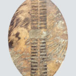 Zulu Umbumbuluzo War Shield