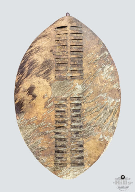 Zulu Umbumbuluzo War Shield