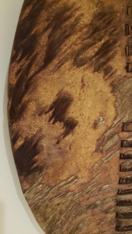 Battle-Proven Zulu Shield: A Rare Warrior Shield (Umbumbuluzo) with Tally Marks - Image 4