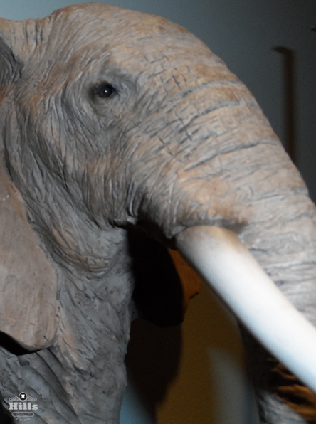 Elephant Head Sculpture