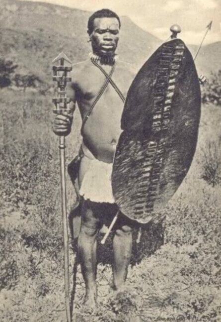 Prestige iNhlendla Spear Staff – All-Wood Arrowhead Variant - Image 3